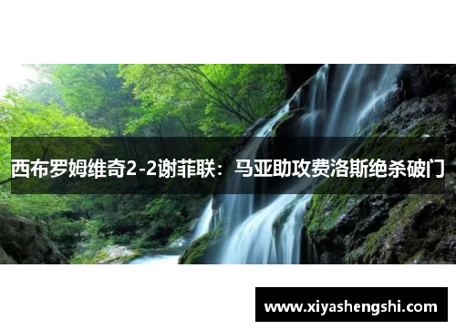 西布罗姆维奇2-2谢菲联：马亚助攻费洛斯绝杀破门